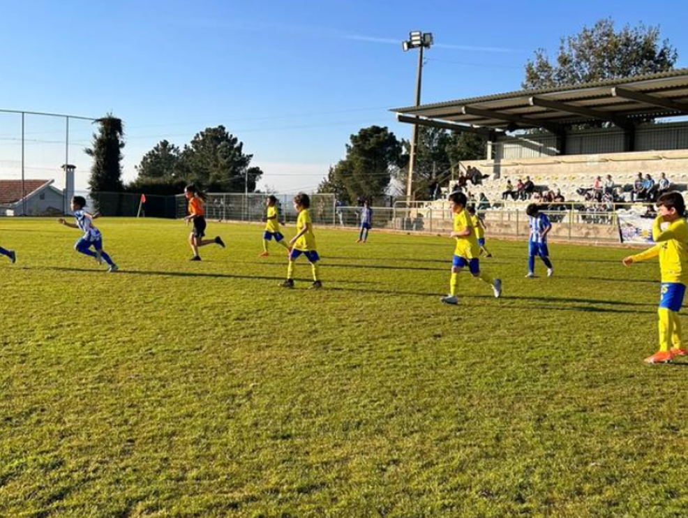 Seleções de Andebol sub-19 da Hungria e Portugal realizam jogos de  preparação em Celorico de Basto - Câmara Municipal de Celorico de Basto