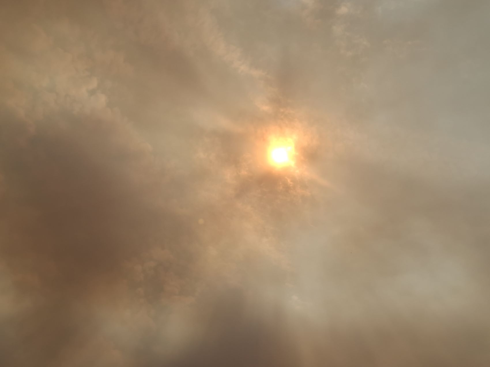 Governo mobiliza mais 10 milhões de euros para apoiar agricultores afetados por incêndios deste ano